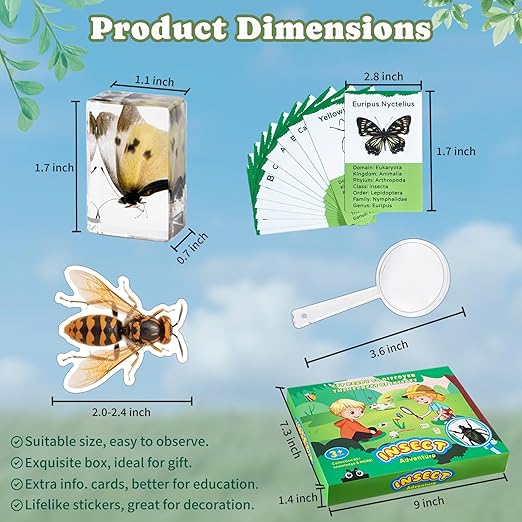 Insect in Resin Specimen, 12 PCS Scientific Educational Bugs Collection, Science Classroom Preschool Display, Real Specimens of Butterflies Beetles Preserved, Stickers, Oddities(Total 61pcs)
