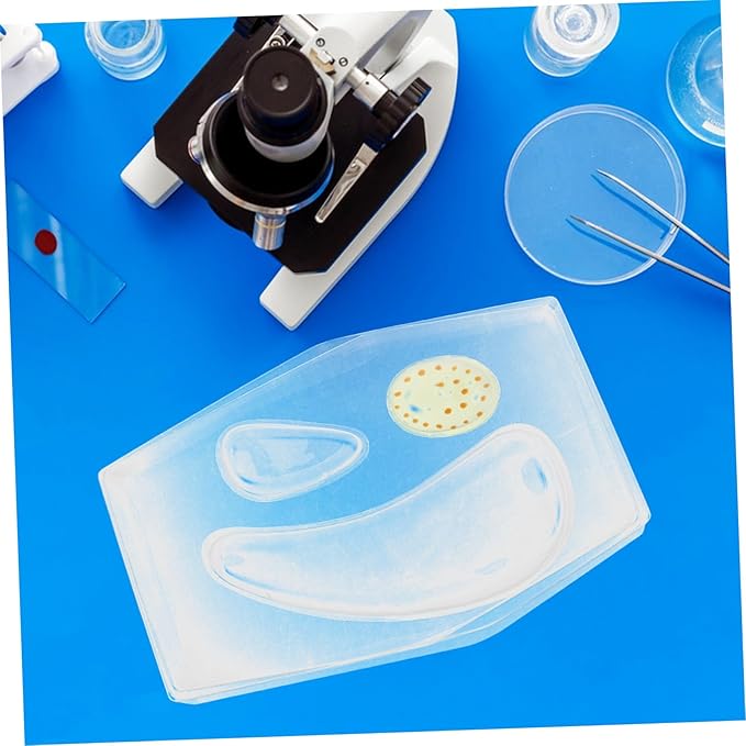 Transparent Plant Cell Learning Model Interactive Stem Educational with Clear Visualization Safe Materials and Instructional Guide for Classroom and Home Biology Teaching