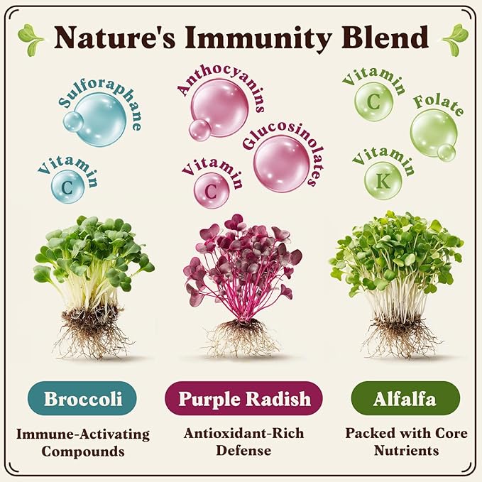 Seedboy Organic Non-GMO Sprouting Seeds, Immune System Booster - USA Grown Microgreens Mix with Broccoli, Purple Radish, Alfalfa - 8 oz Bag Makes 8 Quarts / 24 Servings (Immune System Booster Blend)