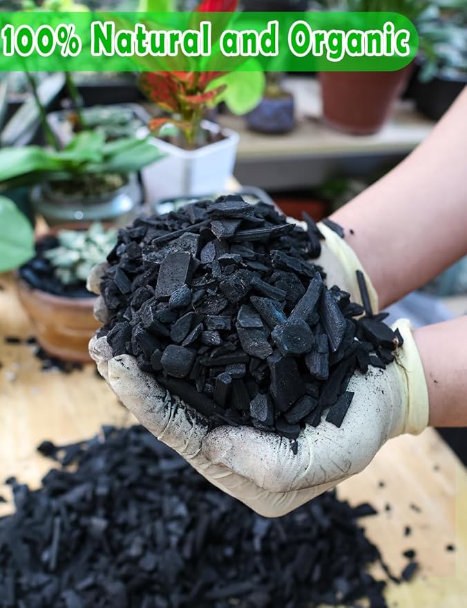TOYPOPOR Horticultural Charcoal for Indoor Plants (6 Quarts) Hardwood Potting Soil Amendment Helps Improve Drainage for Orchids, Succulent, Cactus, Terrariums, and Gardening