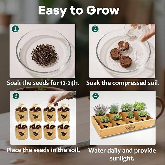 Organic Indoor Herb Garden Start Kit - Unique Gifts for Women, Christmas Gifts for Adults, Easy House Plant- Birthday for Women,House Warming Gift New Home- Fresh Herb Garden DIY Crafts for Adults