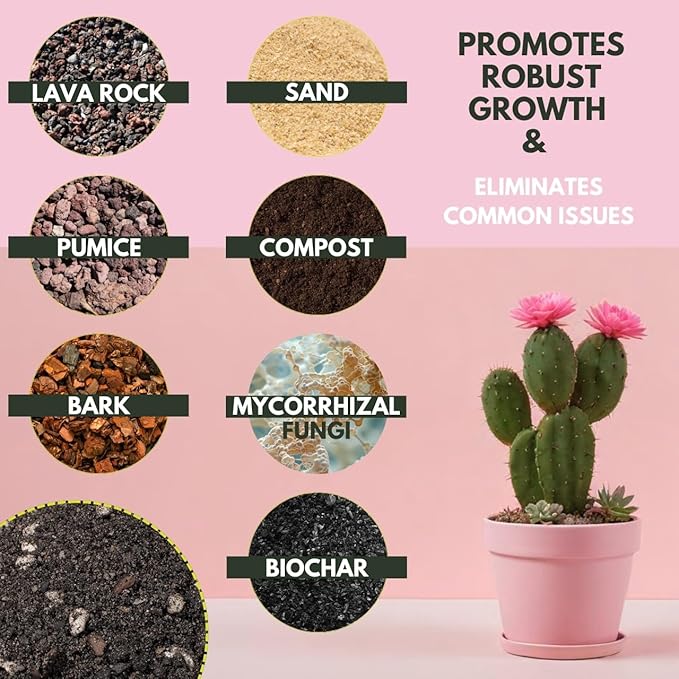 Cactus & Succulent Potting Mix - 5 Dry Quarts Premium Gritty Fast Draining Soilless Potting Mix for Cactus, Succulents, Jade, Aloe Vera - Healthy Roots - Made in USA