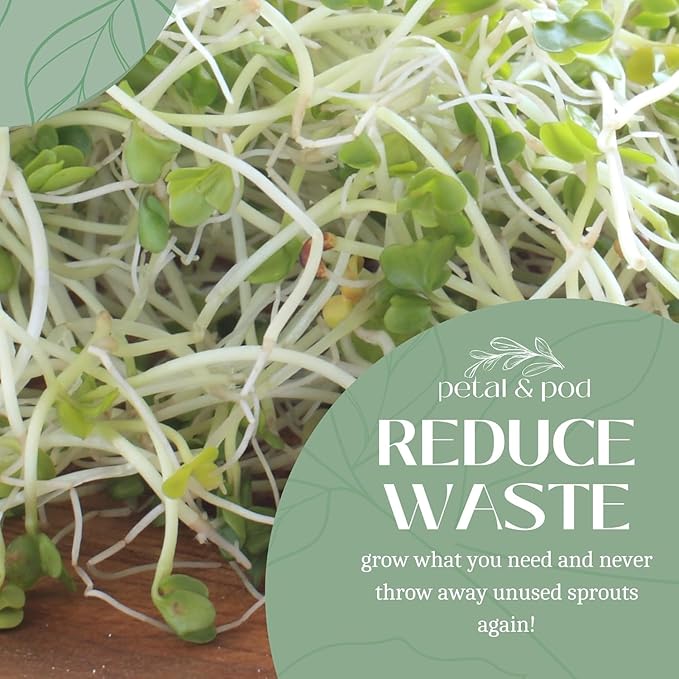 Petal & Pod Microgreens & Sprouting Seeds (12oz) - Alfalfa - Seeds for MicroGreens Growing Kit and Sprouting Jars