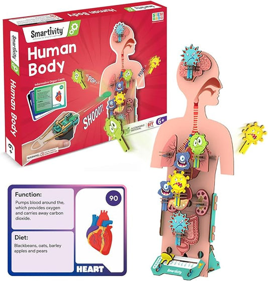 Smartivity Human Body Model for Kids 6 to 12 Years | Learn Body Organs, Functions with Fun Card Games | Christmas, Birthday Gift for Boys & Girls | DIY STEM Science Toys for Kids 6, 8, 10, 12 Years