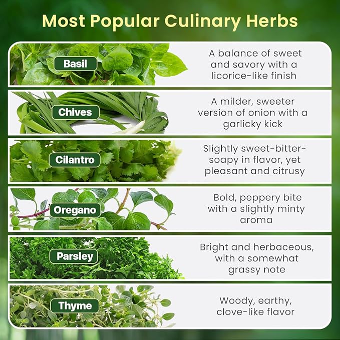 Herb Garden Kit Indoor, Non-GMO Seeds, Native Planting Soil, Gardening Gifts for Women and Men, Complete 6-Seed Starter, Kitchen Window Garden, DIY Grow Plants at Home, Gifts for Her Him