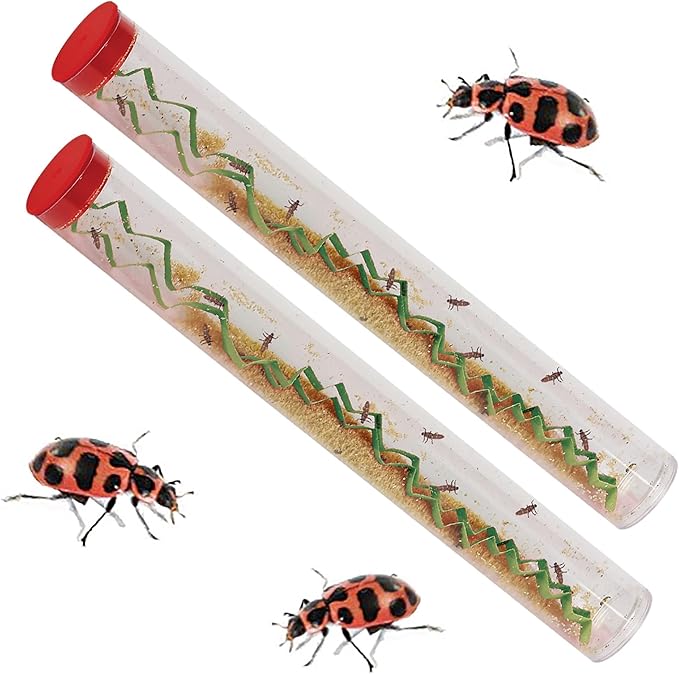 Insect Lore Two Tubes of Ladybug Larvae with STEM Activity Journal - Raise, Observe and Release Pink Spotted Ladybugs - Grown in The USA - Ladybug Kit Refill