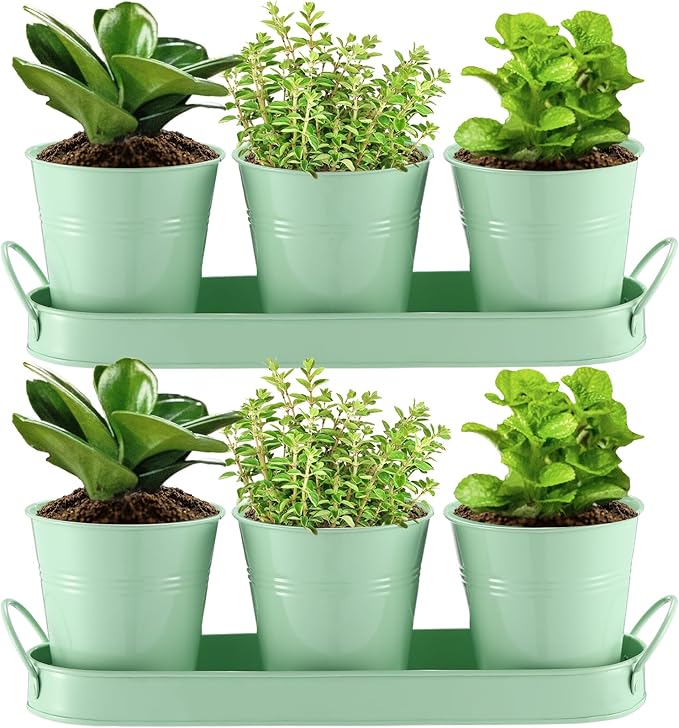 Hicarer 2 Sets Herb Planter with Tray Metal Herb Garden Planter with Drainage Farmhouse Windowsill Pots for Indoor Plants Flower Succulent Outdoor Kitchen Apartment Balcony Window (Green)