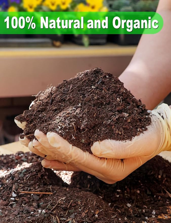 TOYPOPOR Succulent Soil, Cactus Potting Mix 7.5 Pounds/6QTS, High Drainage, Pre-Mixed Ready to Use for All Succulent Varieties, Indoor Plants, Bonsai, Terrarium, Houseplant, 30% Particles 70% Soil