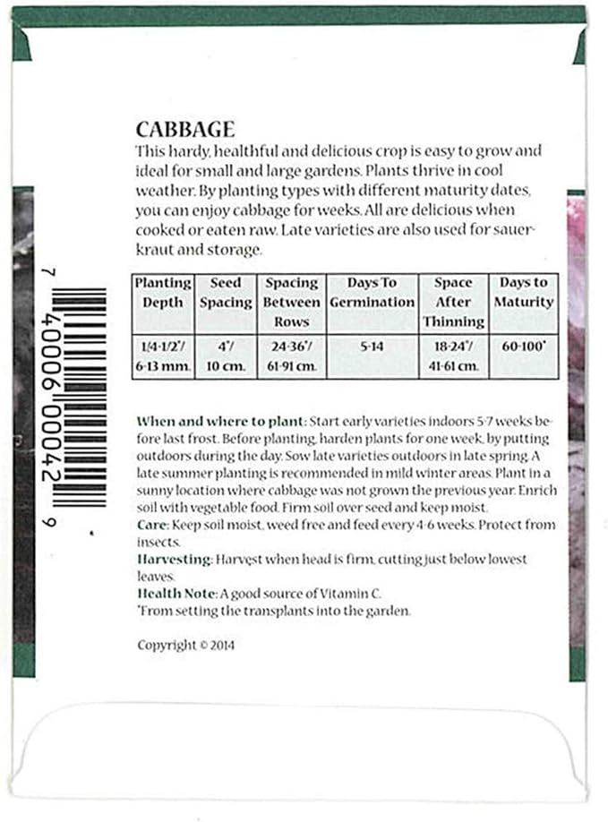 Red Acre Cabbage Microgreens & Sprouting Seeds – 4 Gram – Non-GMO, Chemical-Free – High-Germination Seeds for Nutritious Microgreens, Sprouts, Hydroponic Growing, and Indoor Gardening