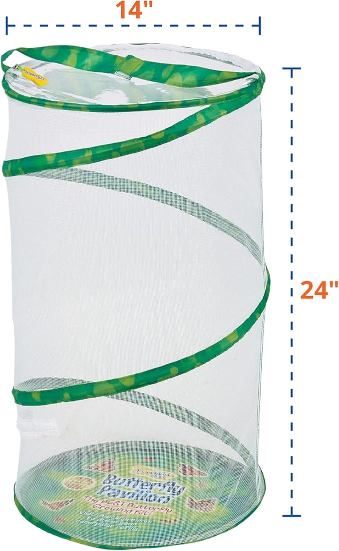 Insect Lore Butterfly Pavilion Habitat - One 2-Ft Tall Clear Mesh - Pops Up Folds Flat, Zipper Top - Great for All Insects and Plants