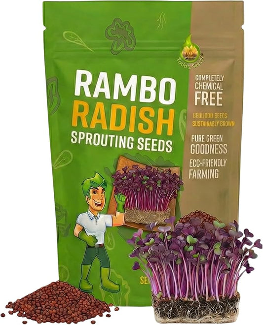 Todd's Seeds Rambo Sprouting Radish Seeds - Beautiful Red/Purple Colored Sprout, Non-GMO, Chemical Free, High Germination (1/2 Pound)