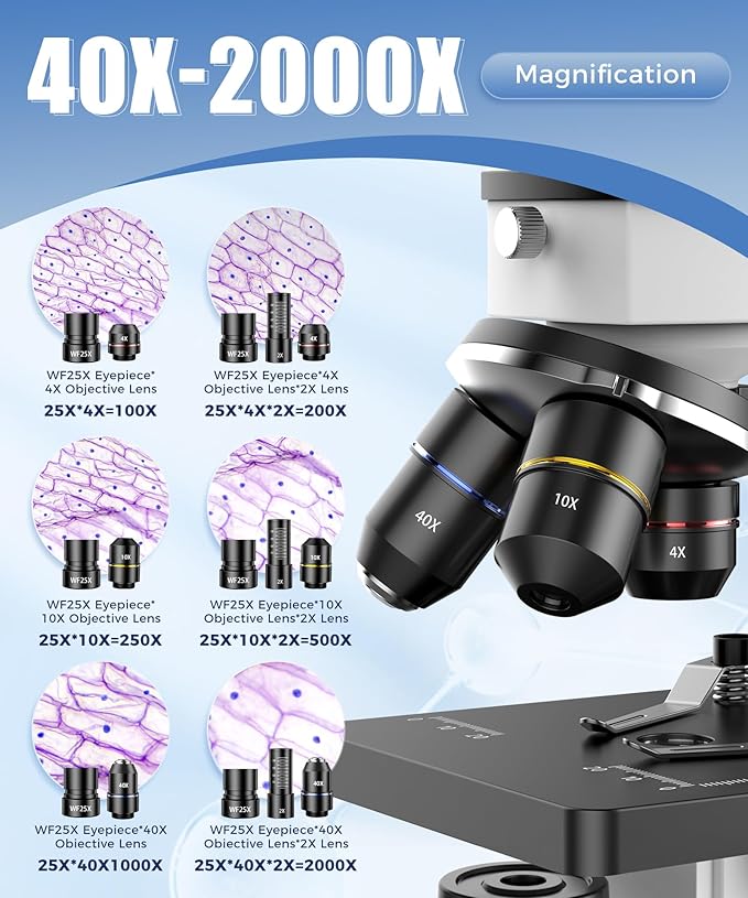 PalliPartners Compound Microscope for Adults & Students - 100X-2000X High-Power Biological Microscope for Students, School Lab & Home Education, with Slides Set & Phone Adapter (White)