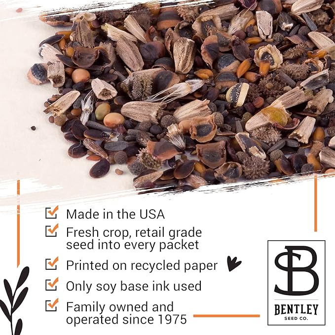 Bentley Seed Medicinal Herbs Starter Kit – Non-GMO Seeds for Indoor Planting - Heirloom Seed Packets - Individual Packets for Chamomile, Lavender, Catnip, Mint, Bee Balm, Lemon Balm, Purple Cone