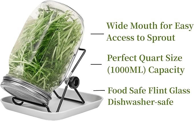 Lulonpon One Sprouting Jar Kit, Wide Mouth Quart Mason Jars with Stainless Steel Screen Sprout Lids, 86mm,1000ml,Stand,Tray and Canning Brush,Seed Sprouter Set for Growing Broccoli, Alfalfa, Mung Bean