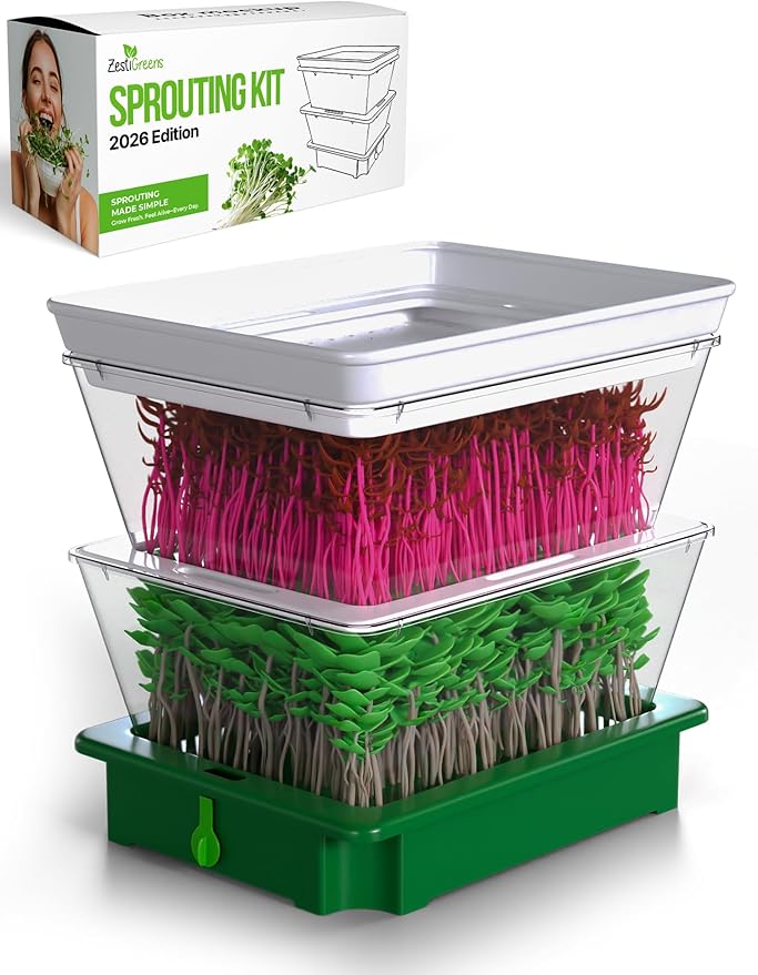 Premium Alfalfa Sprouting Seeds – Non GMO, Organic Seeds from The USA (2-Tier Sprouting Kit)
