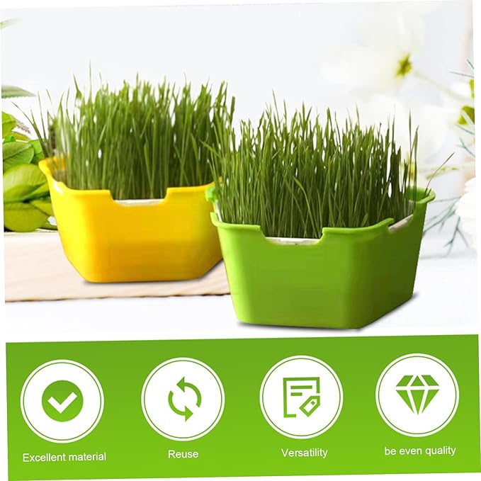 Seed Sprouter Tray with Cover Plastic Seedling Nursery Tray Soil-Free for Kitchen Garden Home Office 4 Pcs Sprouting Tray Sprouts Growing Tray Sprouts Growing Kit Germination Tray