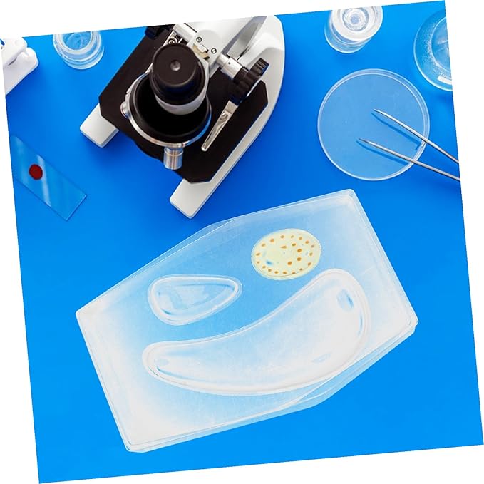Transparent Plant Cell Model Kit for Stem Classroom Learning Detailed Biology Educational Tool for Teachers Interactive Science Model for Middle and High School Students