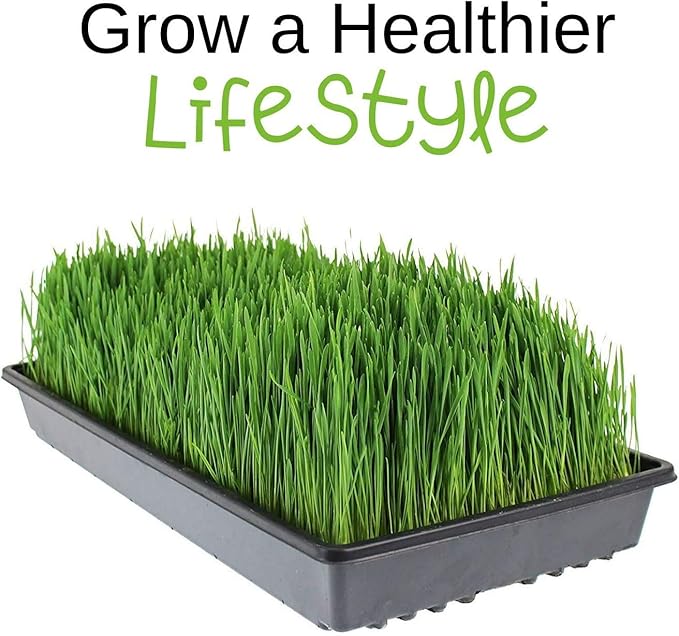 Handy Pantry Micro-Mats Hydroponic Grow Pads - for Organic Production - 10 Pack - Plant & Seed Germination: Wheatgrass, Microgreens, More - for 20" x 10" Greenhouse Trays