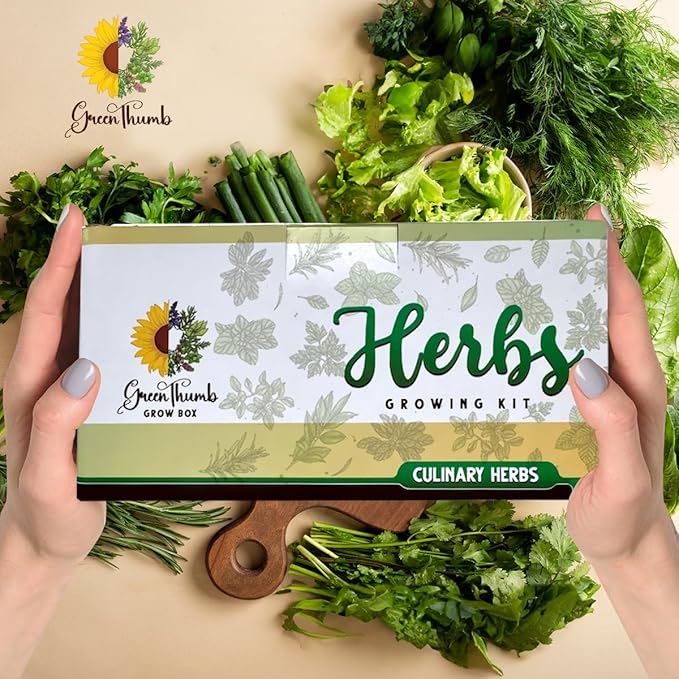 Herb Garden Kit Indoor, Non-GMO Seeds, Native Planting Soil, Gardening Gifts for Women and Men, Complete 6-Seed Starter, Kitchen Window Garden, DIY Grow Plants at Home, Gifts for Her Him