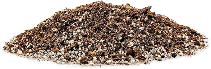Gardenera Premium Raspberry Potting Soil Mix - Optimal Blend for Thriving and Juicy Berries - 20 Quart