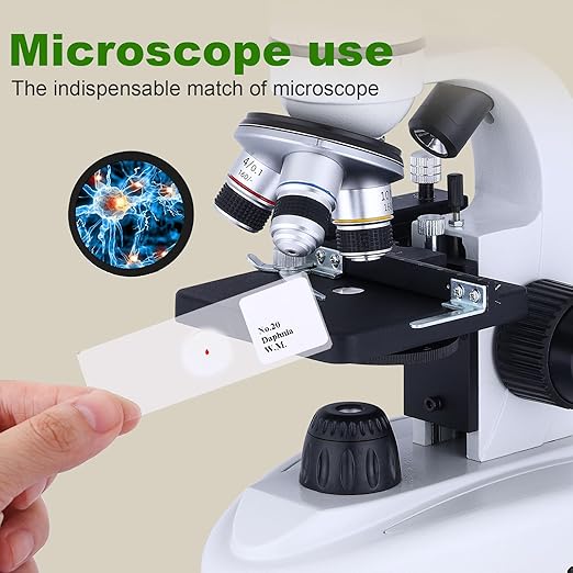 60 Pieces Prepared Microscope Slide Set with Specimens, Plant Animal Cell Science Education Microscope Slides for Bioscience Labs