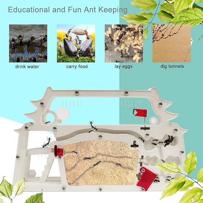 Ant Farm Castle,Ant Colony Habitat Observation Tool Kits,Bug Terrarium House,Nature Learning Toys, Education Science Kit