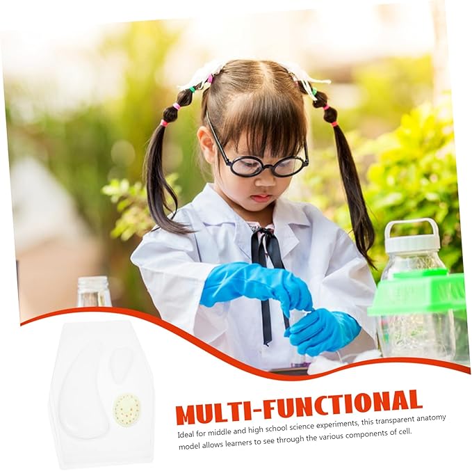 Transparent Plant Cell Learning Model Interactive Stem Educational with Clear Visualization Safe Materials and Instructional Guide for Classroom and Home Biology Teaching