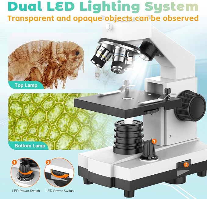 Compound Microscope for Adults & Kids - 40X-2000X Biological Microscopes for Students - Microscopio profesional with Dual LED Lights Phone Adapter Microscope Slide Set for School Lab & Education