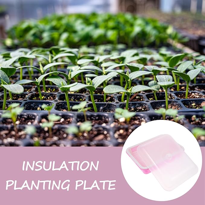 BESTonZON Sprouting Tray with Lid Bean Sprout Mesh Growing Container Microgreens Nursery Tray for Indoor Seed Germination and Vegetable Sprouting