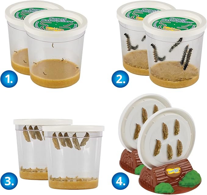 Butterfly Garden: Original Habitat and Two Live Cups of Caterpillars with Journal – Life Science & STEM Education – Butterfly Science Kit - Plus Butterfly Life Cycle Stages Figurines