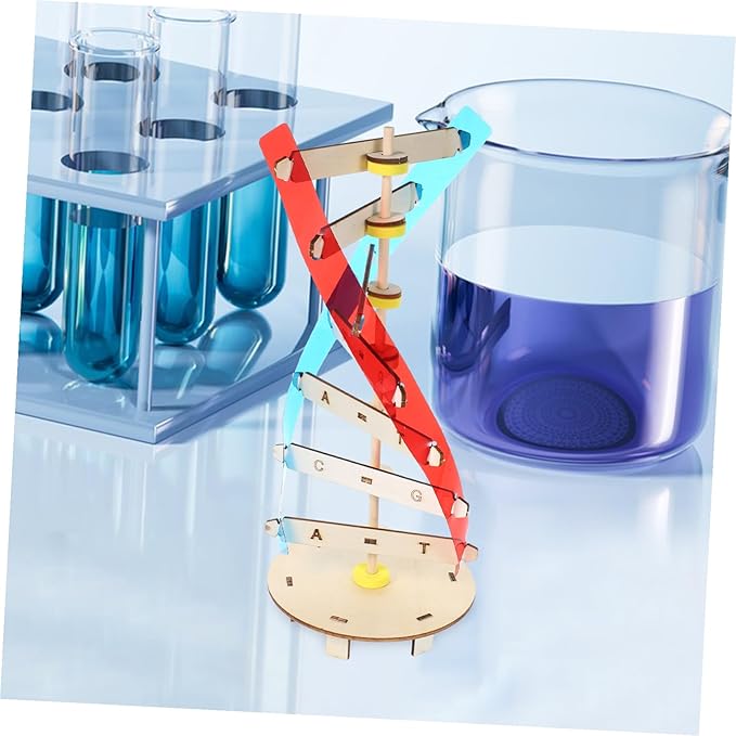DIY Human DNA Double Helix Model Kit Educational Stem for Molecular Structure Building Enhancing Fine Motor Skills and Biology Learning Science Project for Boys