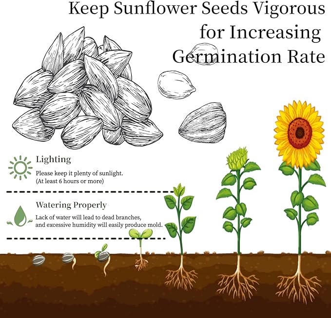Sunflower Seed for Planting, Windowsill Plant Growing Kit with Planting Bags, Coir Soil & Tools Indoor Garden Plant Starter Kit, Sunflower Gifts, Gardening Gifts for Women & Men