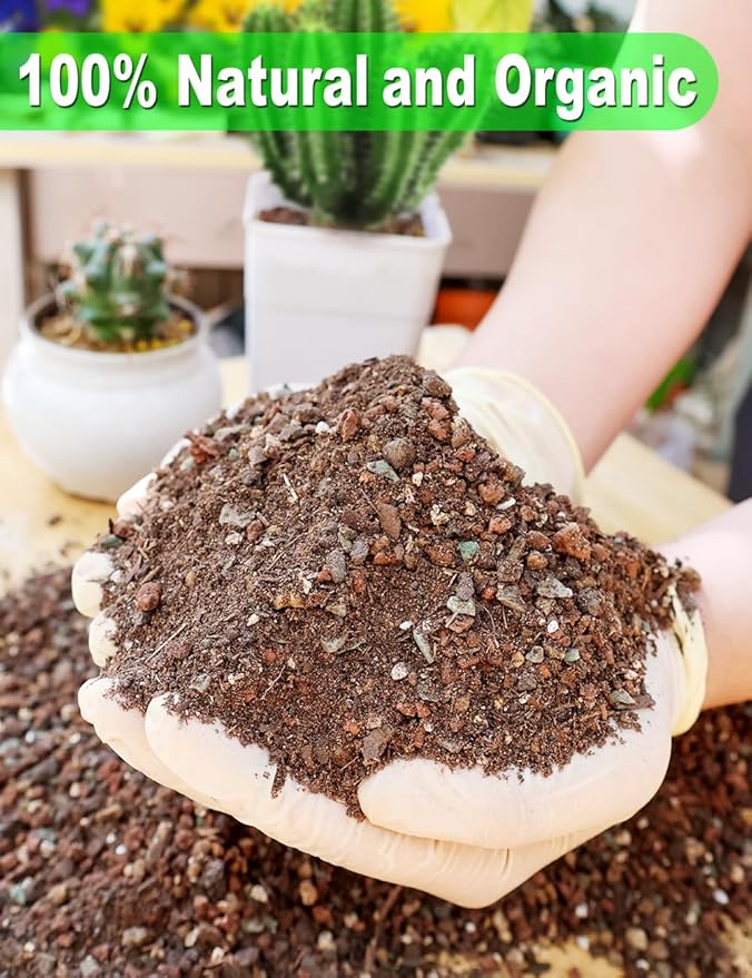 TOYPOPOR Succulent Soil, Cactus Potting Mix 2 Pounds/1 Quart, High Drainage, Pre-Mixed Ready to Use for All Succulent Varieties, Indoor Plants, Bonsai, Terrarium, Houseplant, 70% Particles 30% Soil