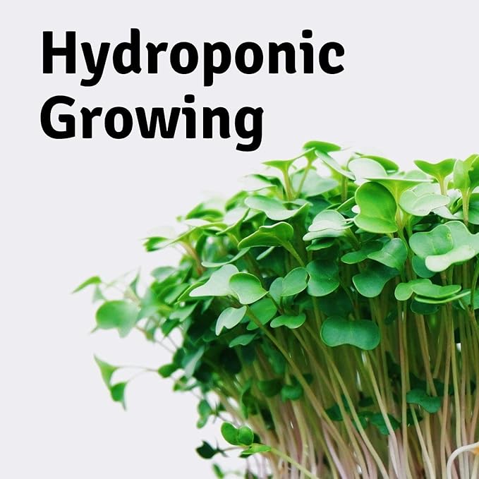 Handy Pantry Micro-Mats Hydroponic Grow Pads - for Organic Production - 10 Pack - Plant & Seed Germination: Wheatgrass, Microgreens, More - for 20" x 10" Greenhouse Trays