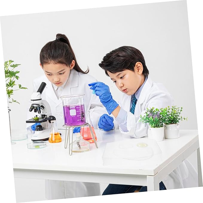 Transparent Plant Cell Learning Model Interactive Stem Educational with Clear Visualization Safe Materials and Instructional Guide for Classroom and Home Biology Teaching