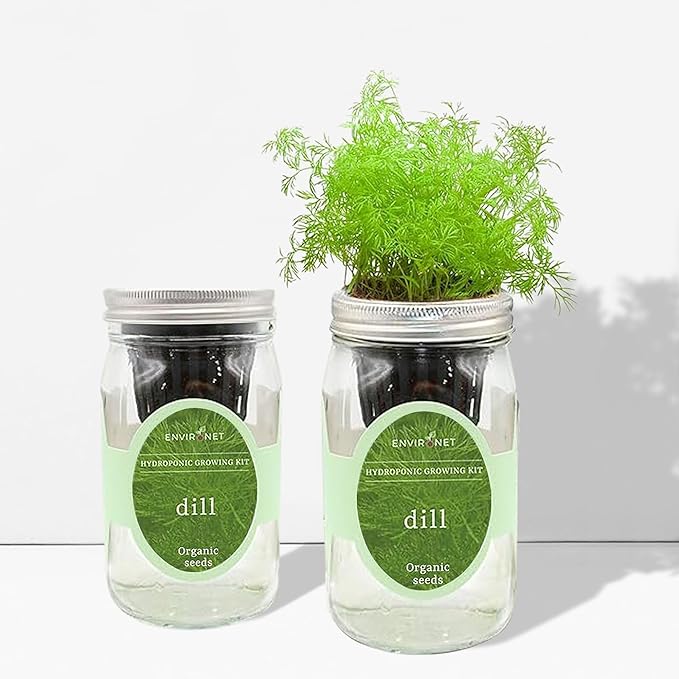 Hydroponic Herb Growing Kit, Self-Watering Mason Jar Herb Garden Starter Kit Indoor, Windowsill Herbs Garden, New Christmas Grden Gift for Mom (Dill)