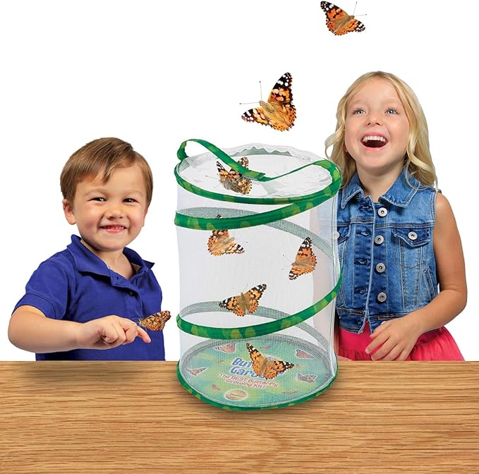 Insect Lore Butterfly Garden Habitat - Washable, Reusable, Folds Flat - Medium 12 Inch Butterfly Growing Habitat