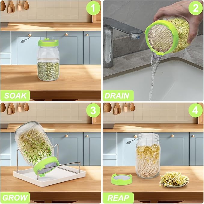 Lulonpon Sprouting Kit, 4 Sprouting Jar Kits, Wide Mouth Quart Mason Jars with Stainless Steel Screen Sprout Lids,1000ml Sprouts Growing Kit, Seed Sprouter Set for Growing Broccoli, Bean, Alfalfa ﻿