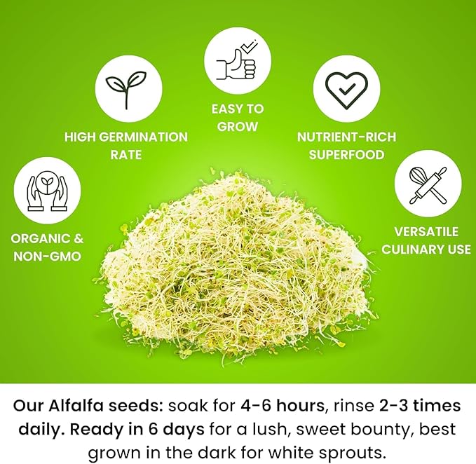 Premium USA Alfalfa Seeds for Sprouting & Microgreens with High Germination Rate. (4oz)