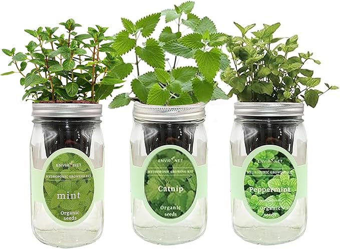 Hydroponic Herb Growing Kit Set, Self-Watering Mason Jar Herb Garden Starter Kit Indoor, New Christmas Gift for Mom (Mint, Peppermint & Catnip)