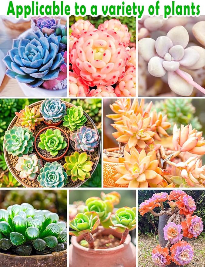 TOYPOPOR Succulent Soil, Cactus Potting Mix 2 Pounds/1 Quart, High Drainage, Pre-Mixed Ready to Use for All Succulent Varieties, Indoor Plants, Bonsai, Terrarium, Houseplant, 70% Particles 30% Soil