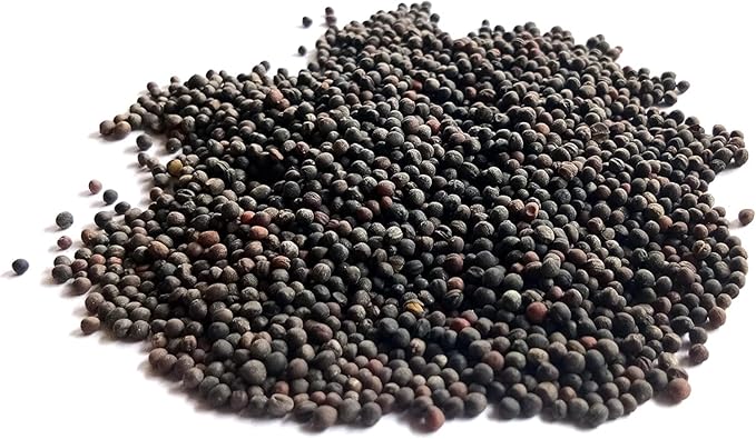 Organic Broccoli Seeds for Sprouting Microgreens – Heirloom, Non GMO Seeds to Plant & Grow Organic Di Cicco Broccoli in Home Indoor Hydroponic Gardens – Great Gardening Gift (1 Ounce)