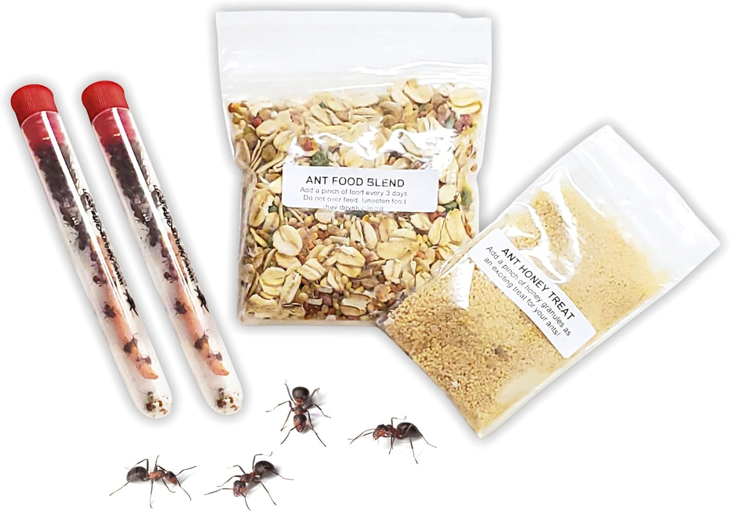 Live Ant Habitat Refill Kit - Includes 50 Live Red Harvester Ants, Ant Food, Honey - All-in-One Educational Insect Exploration Kit - Active Observation and Learning Experience Bundle