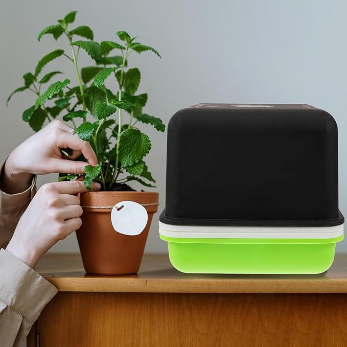Kisangel Sprouting Tray Micro Growing Kit with Lid, Multi-Hole Plant Germination Container for Indoor Seed Starting and Vegetable Growing, Small Square Hydroponic Peanut Sprout Nursery Box