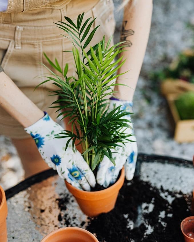 GARDENERA Palm Tree Potting Mix - The Ultimate Soil for Strong and Healthy Palms - Top Choice for Palm Tree Growers [2 Quart Bag]