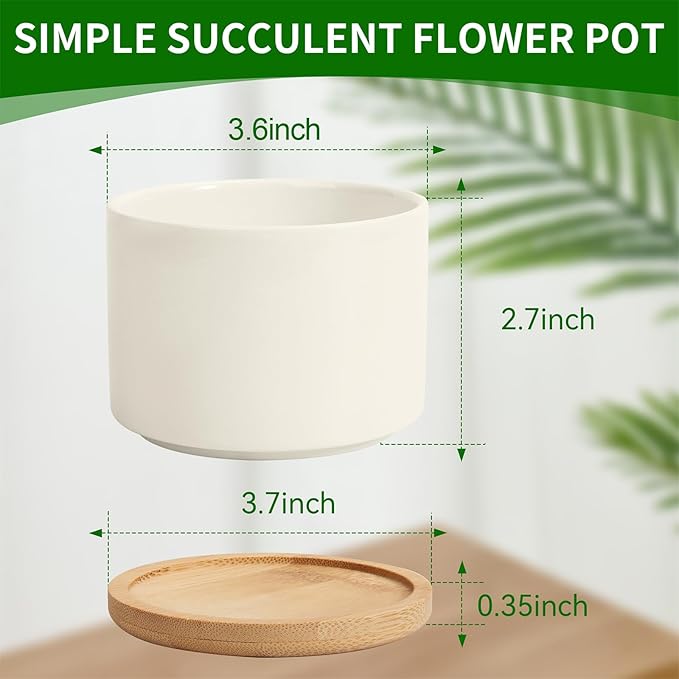 ZOUTOG 12 Pack Ceramic Succulent Pots,4 Inch Plant Pots,Succulent Planters with Drainage Hole & Bamboo Tray for Indoor Plants,White Small Flower Planters for Home,Office,Desk