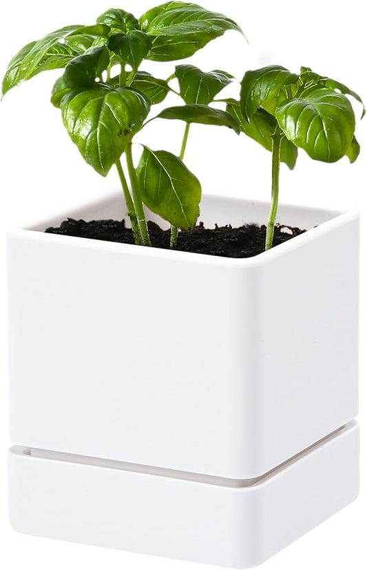 D'vine Dev 4 Inch Herb Planter Pot, Plastic Planter with Drainage Holes and Saucer, Modern Decorative Gardening Pot for Indoor Plants, Flowers, Herbs, Succulents, White, Set of 1, 76-Y-A1-1