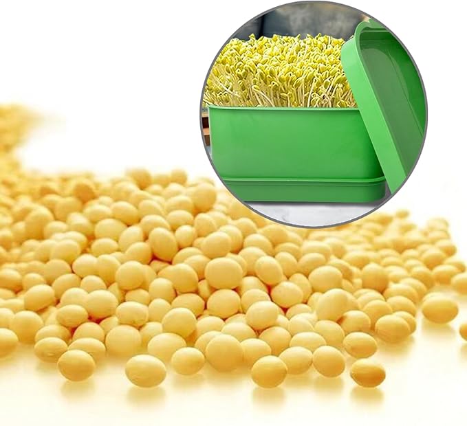 Sprouter Kits Bean Sprout Tray Microgreens Propagators Grow Trays Germinated Indoor Sprouting Tray Small Sprouter