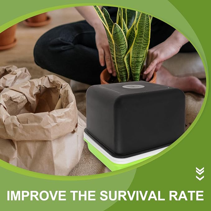 Kisangel Sprouting Tray Micro Growing Kit with Lid, Multi-Hole Plant Germination Container for Indoor Seed Starting and Vegetable Growing, Small Square Hydroponic Peanut Sprout Nursery Box