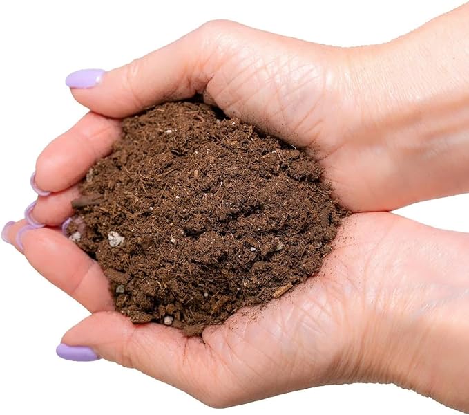 GARDENERA Premium Dracaena Potting Soil Mix - (3 Quart Bag)